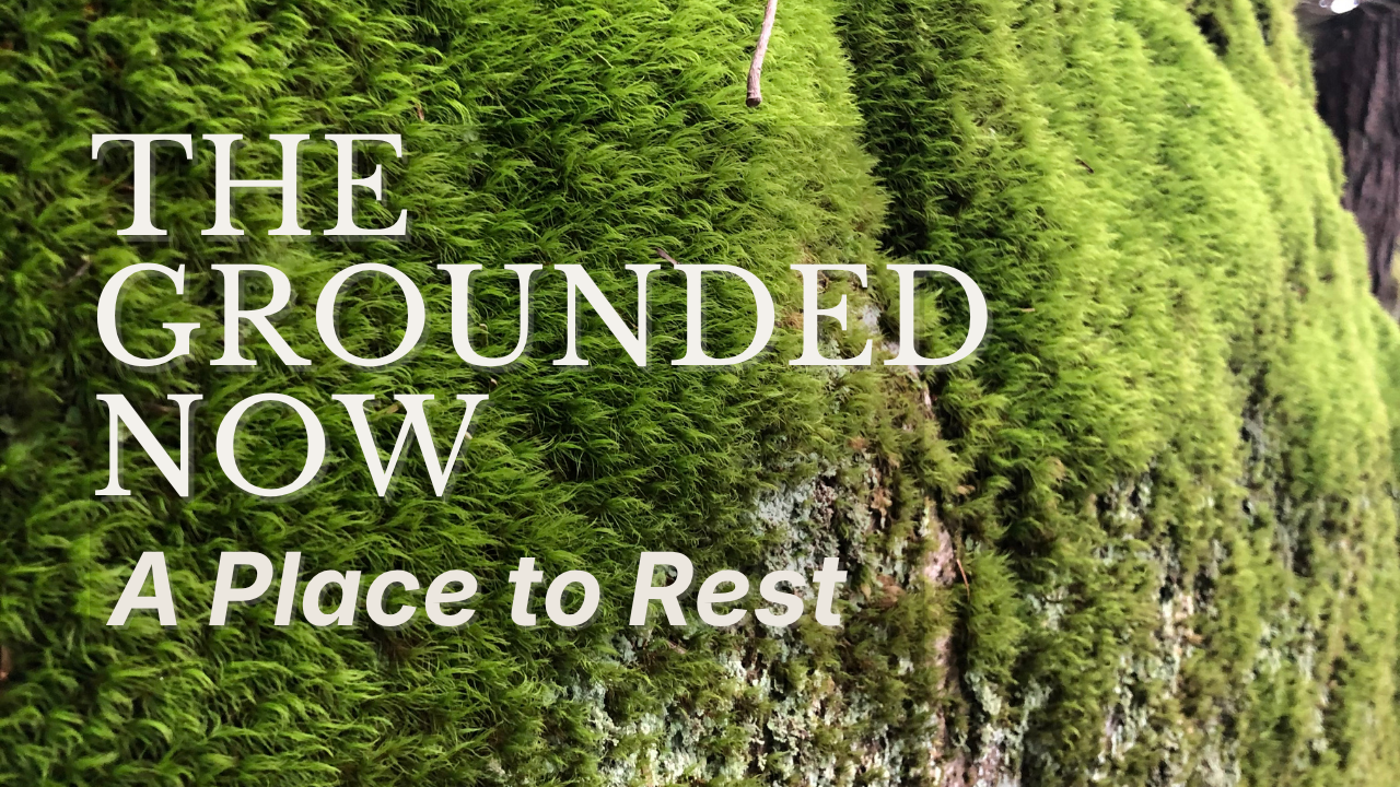 The Grounded Now — somatic grounding guide cover